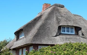 thatch roofing Field